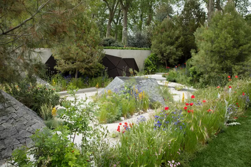 Ogród z łąką - The Royal Bank of Canada Garden by Hugo Bugg at the RHS Chelsea Flower Show 2016