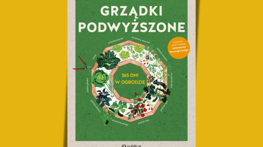 Grządki podwyższone. 365 dni w ogrodzie | Co radzi Dorothea Baumjohann?