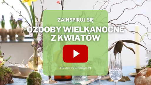 FILM: Ozdoby wielkanocne z kwiatów | Szybkie i efektowne