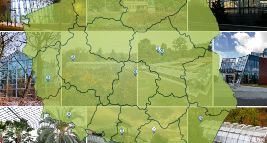 Ogrodowa mapa Polski (część 5) – palmiarnie i oranżerie | 10 miejsc do zobaczenia