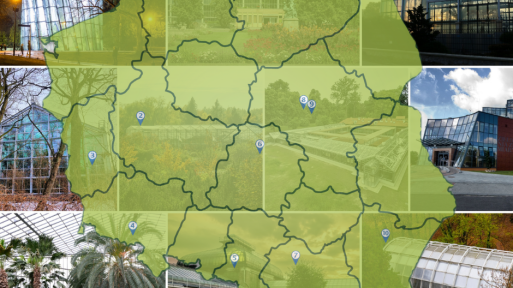 Ogrodowa mapa Polski (część 5) – palmiarnie i oranżerie | 10 miejsc do zobaczenia