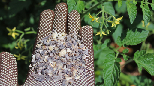 Mączka rogowa do nawożenia | Jak używać nawóz organiczny z wiórów rogowych?