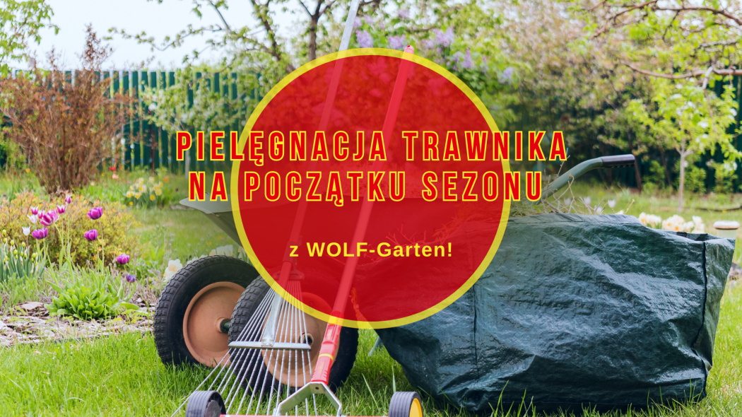 Pielegnacja trawnika na poczatku sezonu  Co robic w kwietniu i maju