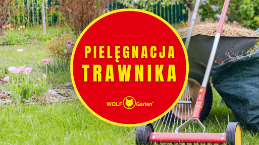 Pielęgnacja trawnika na początku sezonu. Co robić w kwietniu i maju | Porady ekspertów WOLF-Garten