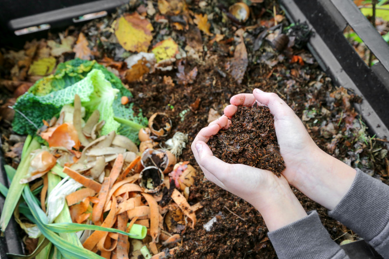 Nawóz organiczny kompost - fot. Jérôme Rommé AdobeStock