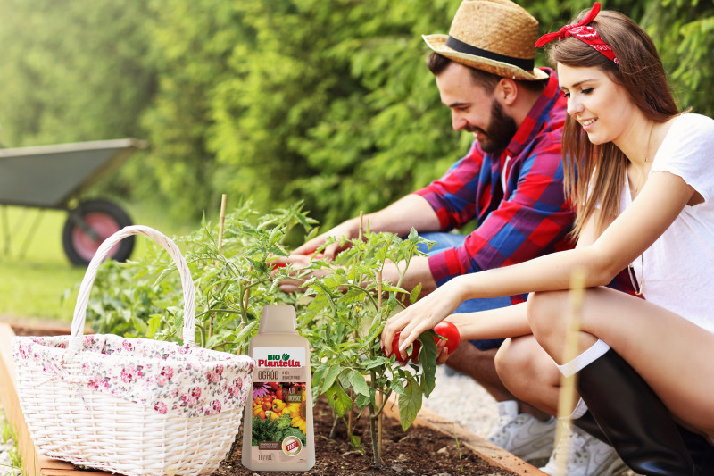 Jak stosować nawozy organiczne płynne