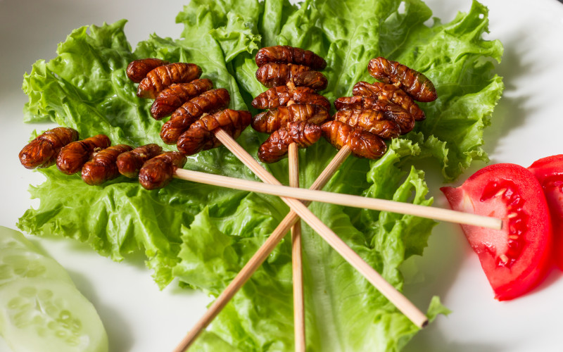 Hodowla jadalnych owadow - danie z owadów fot. CK Bangkok Photo. AdobeStock