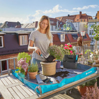 Zamień balkon w zieloną oazę | Poznaj 5 praktycznych wskazówek