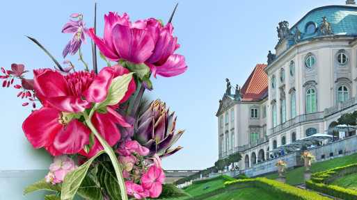 Dni Ogrodów Zamku Królewskiego | Muzeum w zgodzie z naturą