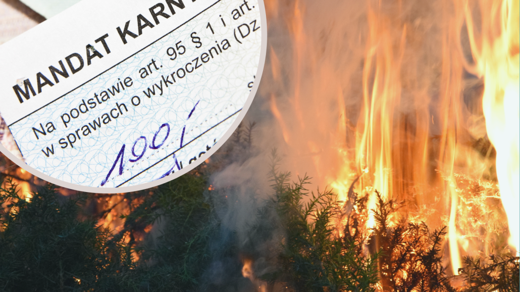 Mandat za palenie liści i gałęzi