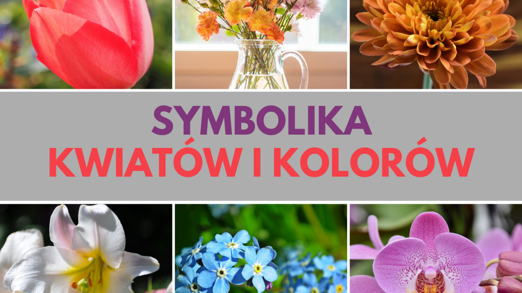 Symbolika roślin - znaczenie najpopularniejszych kwiatów i ich kolorów fot. Pixabay