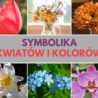 Symbolika roślin | Znaczenie najpopularniejszych kwiatów i ich kolorów