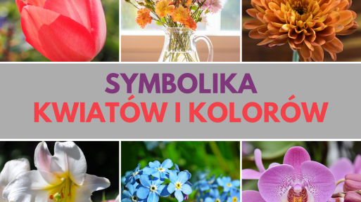 Symbolika roślin | Znaczenie najpopularniejszych kwiatów i ich kolorów