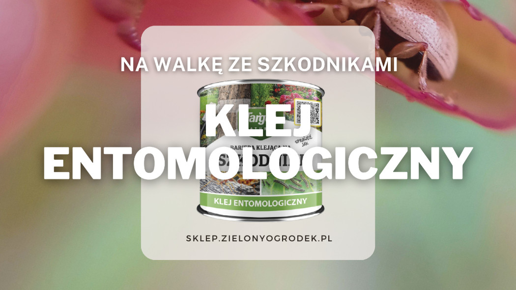 Klej entomologiczny gdzie kupic jak stosowac sklep