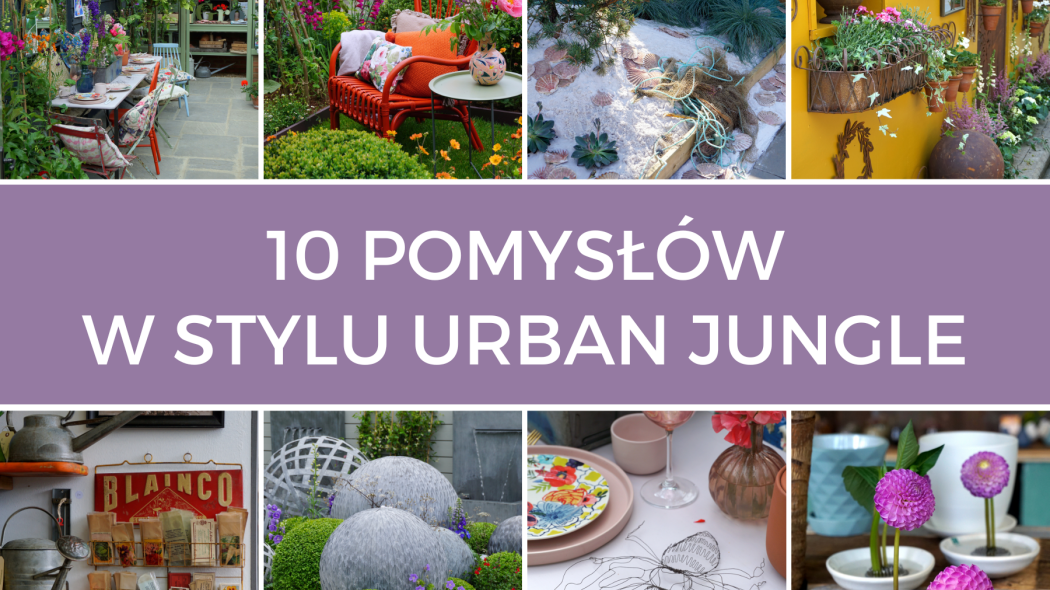 Styl botaniczny czyli urban jungle  - jak zastosować go w ogrodzie fot. Łukasz Skop