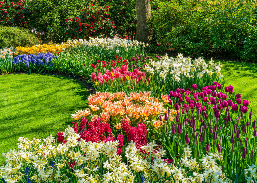 Odkryj sekret pięknego wiosennego ogrodu