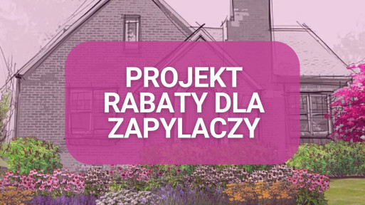 Projekt rabaty przyjaznej zapylaczom | Daj się ponieść kolorom i zapachom!