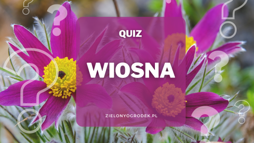 Quiz – wiosenny test wiedzy