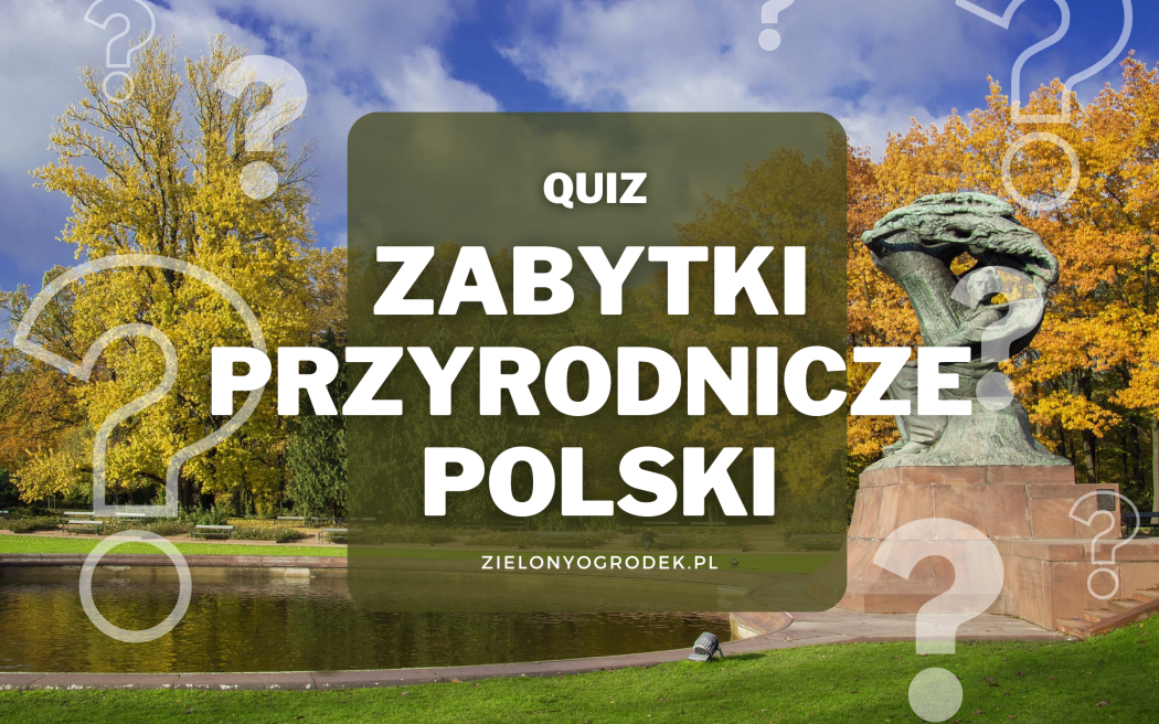 Quiz – zabytki przyrodnicze Polski