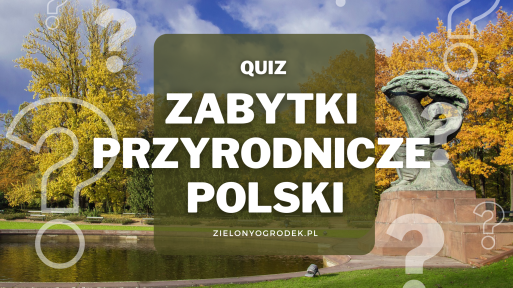 Quiz – zabytki przyrodnicze Polski