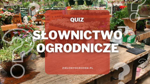 Quiz – czy znasz te terminy ogrodnicze?