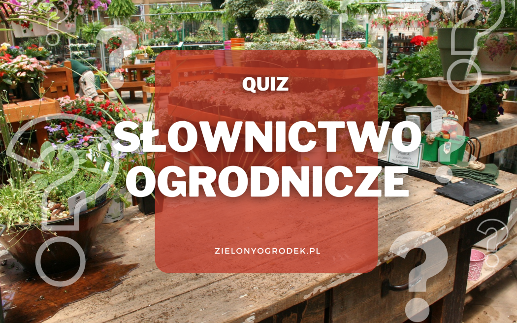 Quiz – czy znasz te terminy ogrodnicze?