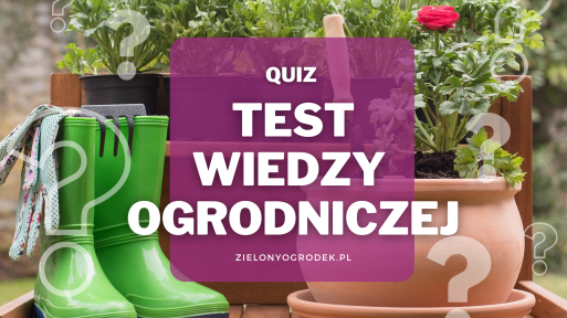 Quiz – test wiedzy ogrodniczej