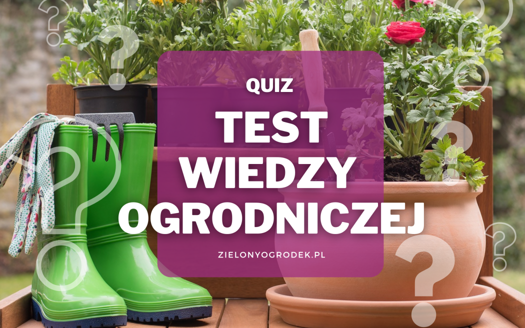 Quiz – test wiedzy ogrodniczej