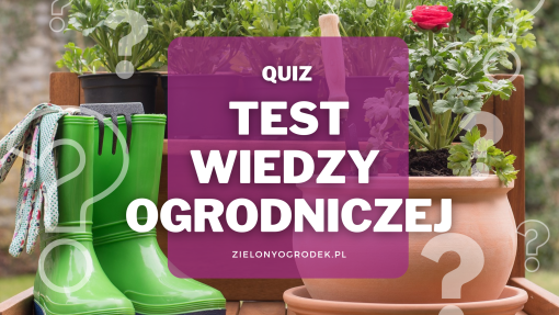 Quiz – test wiedzy ogrodniczej