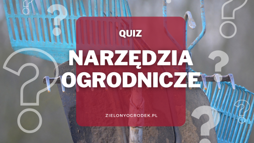 Rozpoznaj narzędzia ogrodnicze