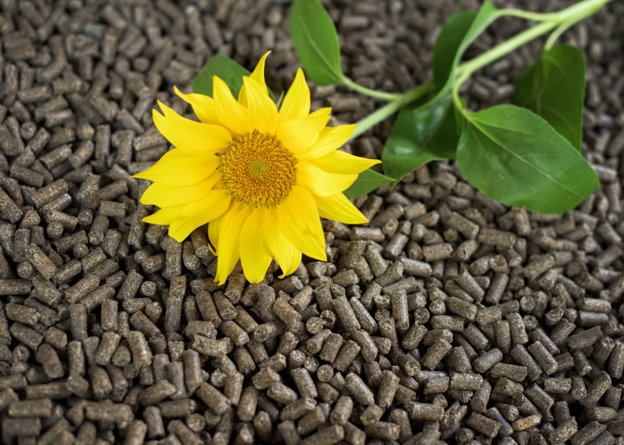 Czy pellet ze słonecznika to przyszłość ogrzewania