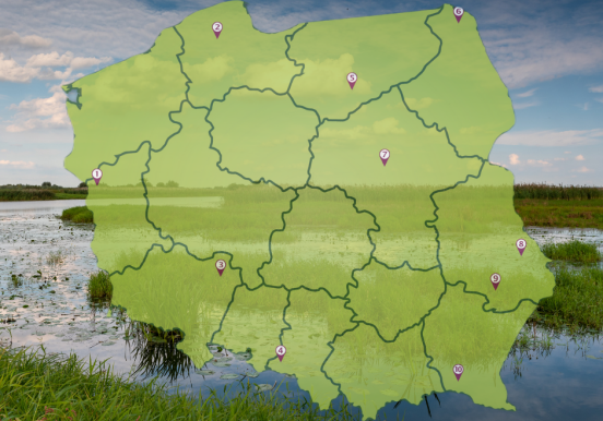 Ogrodowa mapa Polski (część 6) – ścieżki...