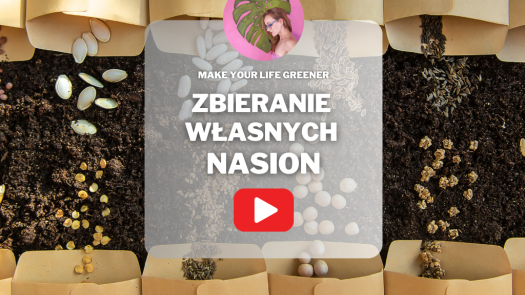 Zbieranie własnych nasion