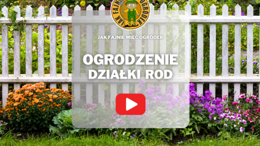 Ogrodzenie działki ROD | Płot, żywopłot czy kwiaty? Zgodność z regulaminem a estetyka