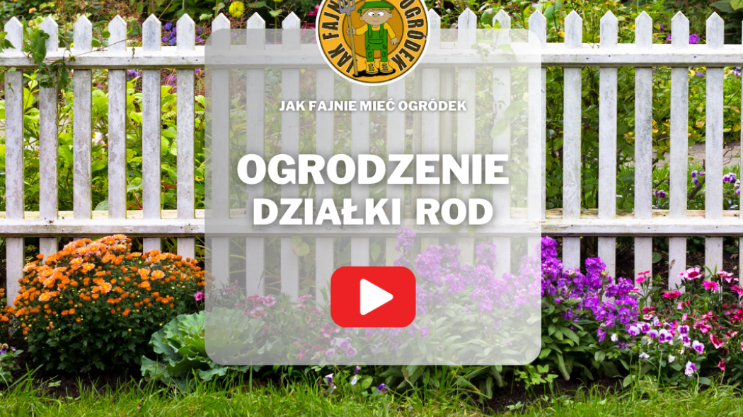 Ogrodzenie działki ROD