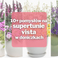 10+ pomysłów na supertunie vista w doniczkach