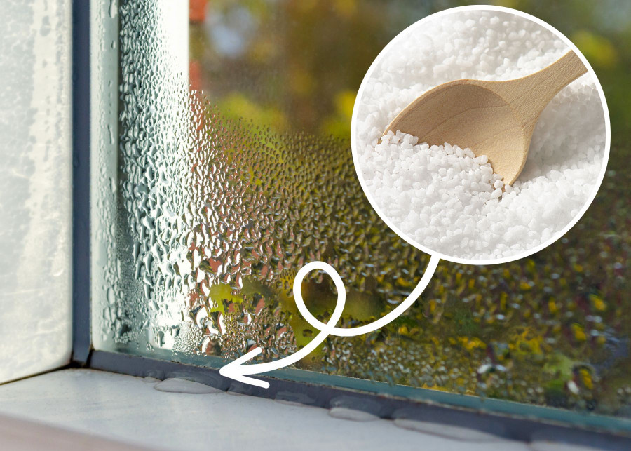 Naturalne metody walki z wilgocią na oknach – sól