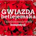 Szukasz pomysłów na bożonarodzeniowe aranżacje? Ta roślina to klucz do świątecznej atmosfery