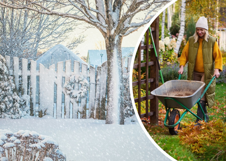 Co zrobić w ogrodzie przed pierwszymi opadami śniegu - oto przedzimowa checklista