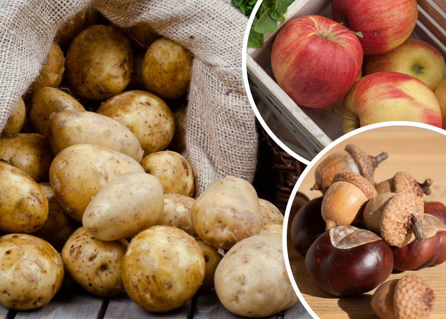 Co robic by ziemniaki nie kiełkowaly dlugie przetrzymywanie i swiezosc