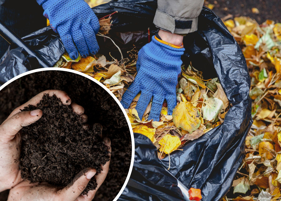 Ziemia kompostowa - czarne złoto ogrodników