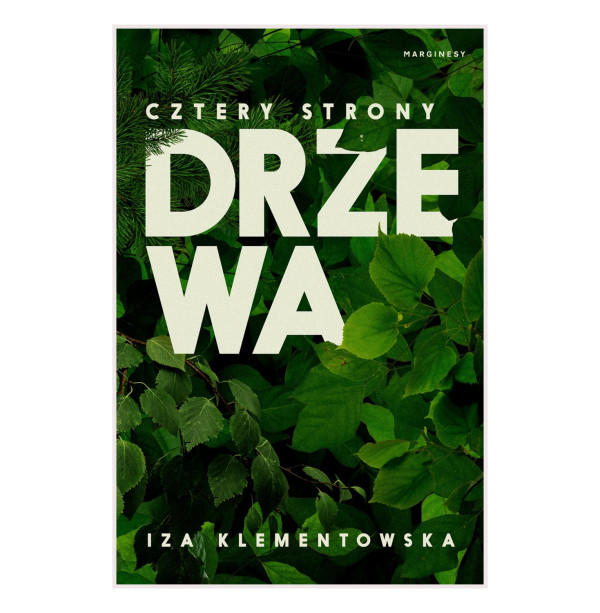 Cztery strony drzewa