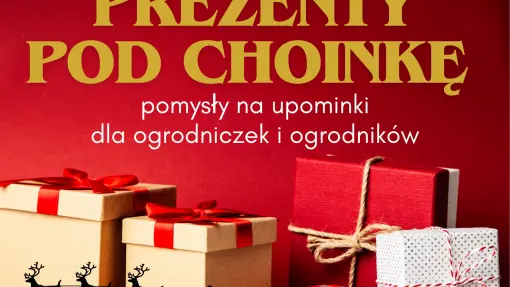 Ogrodowy prezentownik 2023 | O czym marzy każdy ogrodnik pod choinkę? Oto 50+ prezentów