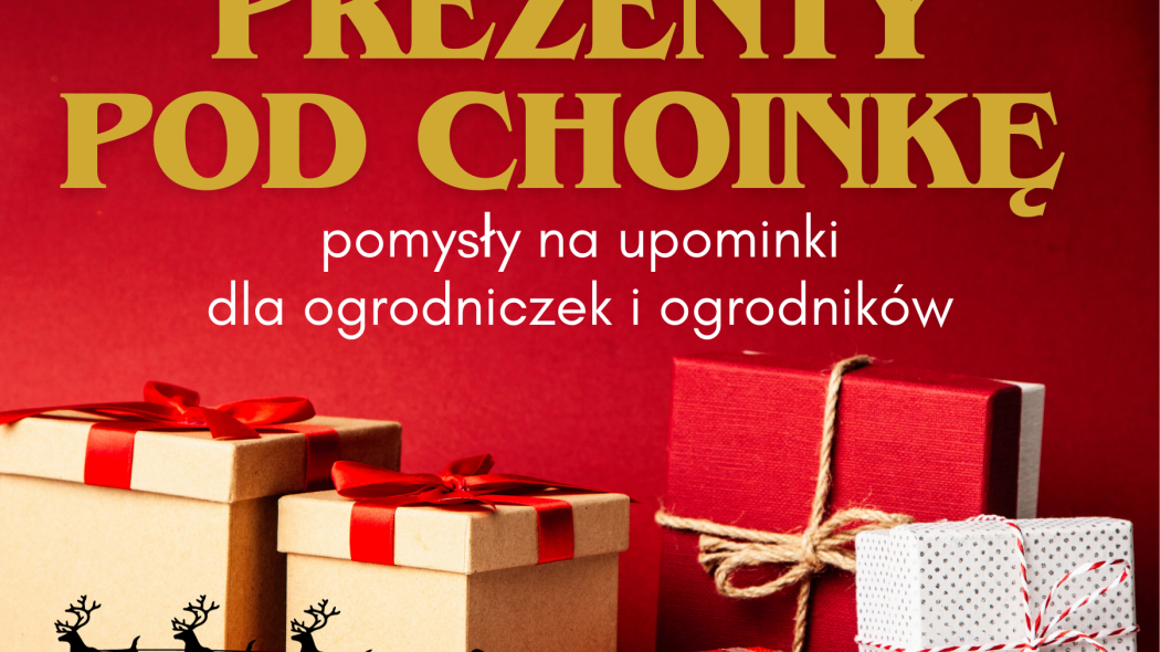 Ogrodowy prezentownik 2023 - o czym marzy każdy ogrodnik pod choinkę Oto 50+ prezentów