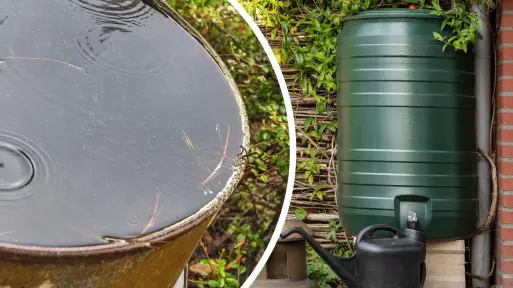 Beczka na deszczówkę się przelewa? Oto, co musisz zrobić z nadmiarem deszczówki