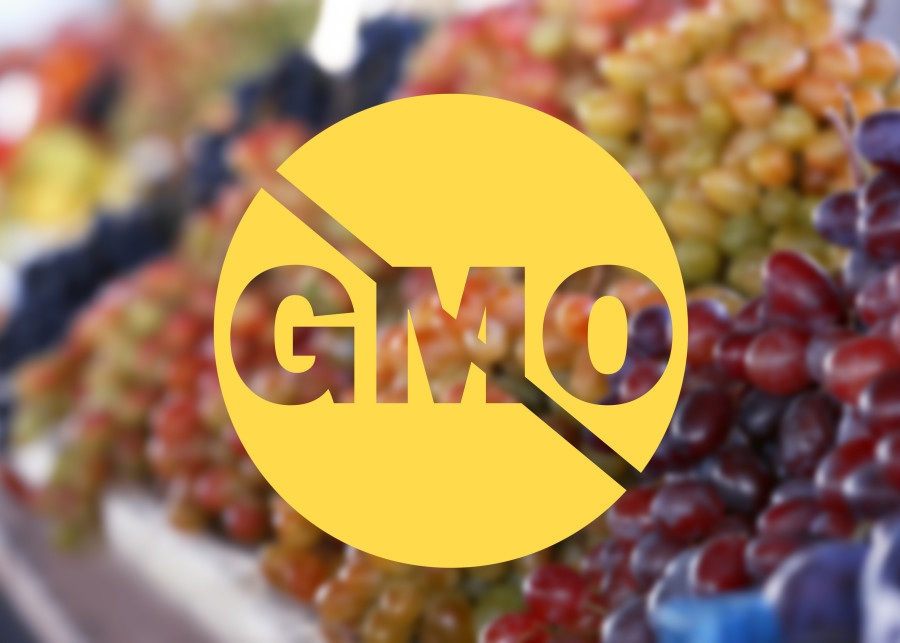Winogrona bezpestkowe GMO