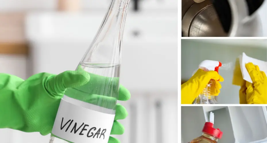 Czy Twój dom może błyszczeć bez chemii? Odkryj 25 niezwykłych zastosowań octu w codziennym sprzątaniu