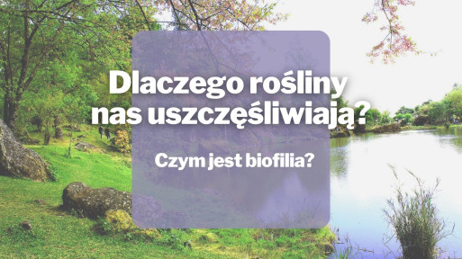 Czym jest biofilia? Dlaczego rośliny nas uszczęśliwiają?