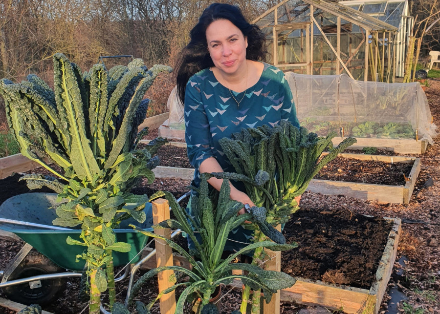 zimowy warzywnik - co Kasia Bellingham uprawia jesienią i zimą