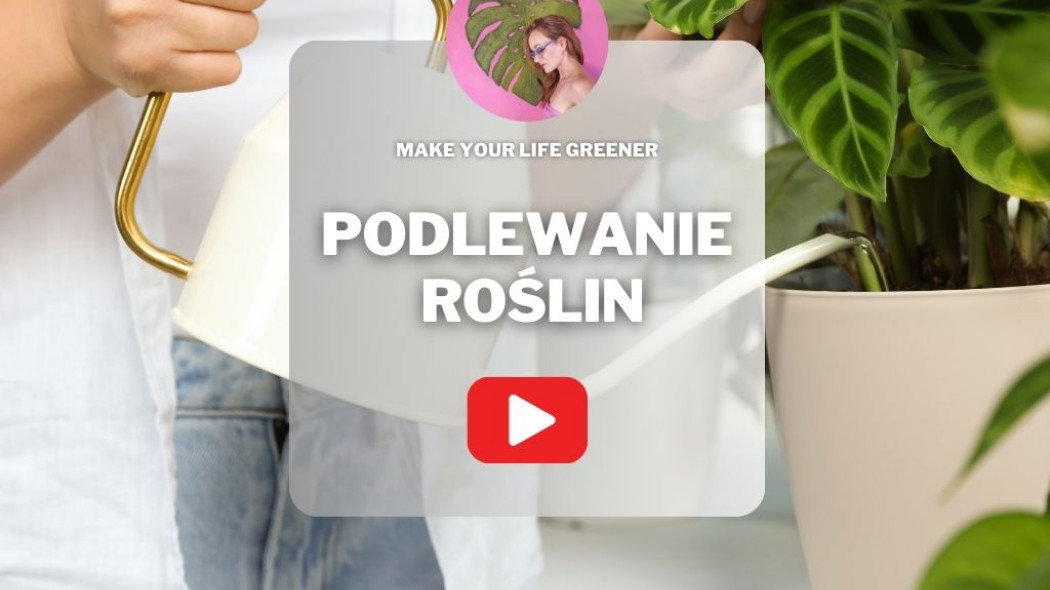 Zimowe podlewanie roślin domowych